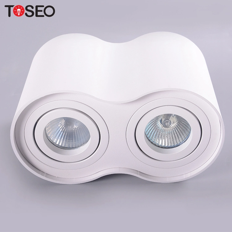 Surface Mounted Lighting Fixture Cylinder Double Head Restaurant LED Spot Downlight